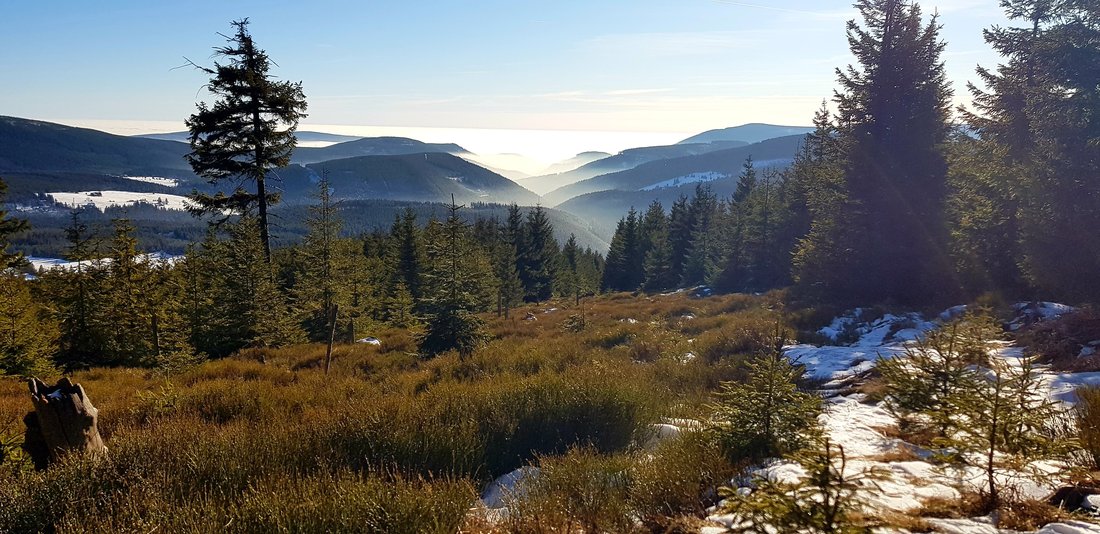 Kralický Sněžník